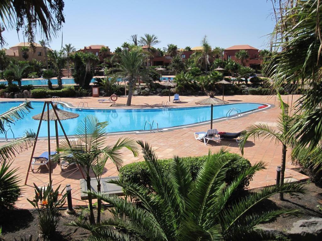 Leonardos Apartamento Corralejo